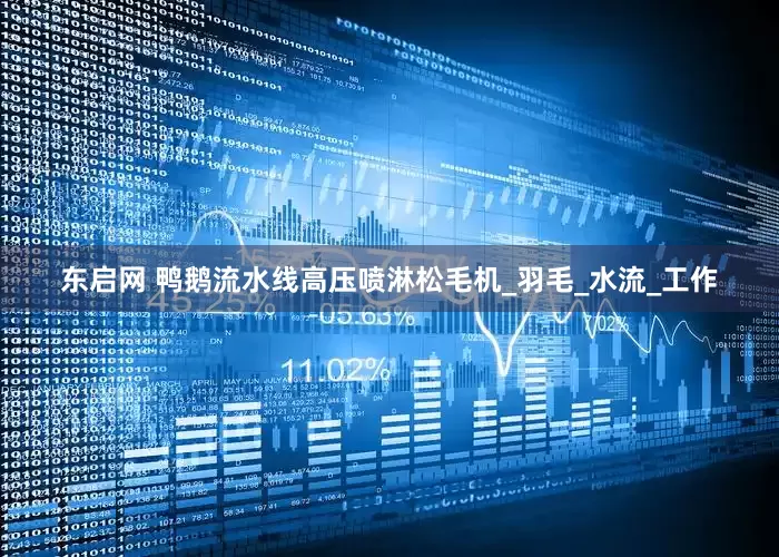 东启网 鸭鹅流水线高压喷淋松毛机_羽毛_水流_工作